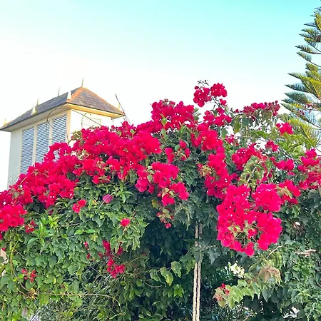 Casal De Pelaio